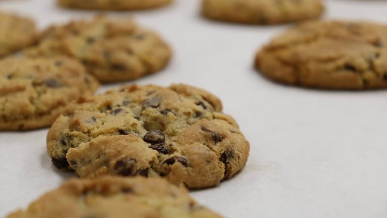 Cookies Aux Raisins Secs SANS GLUTEN Ibn Hayyan Tunisie